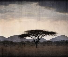 In Africa’s Wake