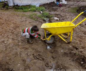 Nature in the Camp