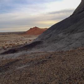 Biodiversity Continues to Decrease