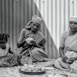 The Growing Importance of Ecofeminism