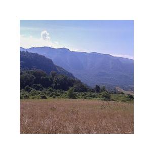 The hills of the Naimina Enkiyio Forest The hills of the Naimina Enkiyio Forest