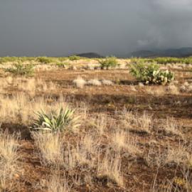 The Four Furies of the Southwest
