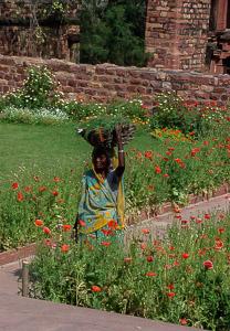 A woman tends the garden at Gandhi’s historic home, now a museum. A woman tends the garden at Gandhi’s historic home, now a museum.