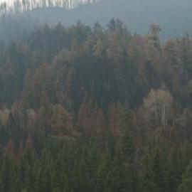 Universities Turn to Green Energy