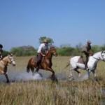 Horseback in Botswana