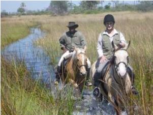 Horseback in Botswana