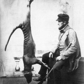 The Extinction of the Tasmanian Tiger
