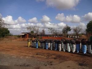 Tanzania 2 Tanzania 2