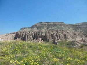 Sustainable Design 5