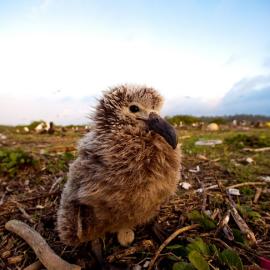 Reduce, Reuse and ... Power Up